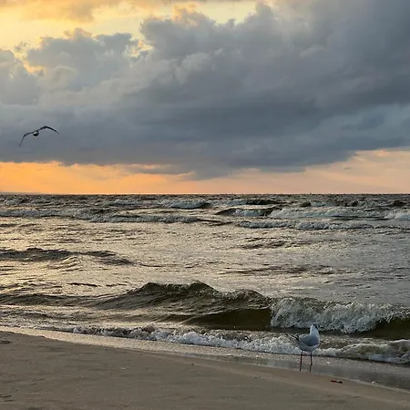 Amber Coast Nr 4 Prázdninový dům