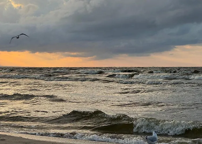 Amber Coast Nr 4 Prázdninový dům